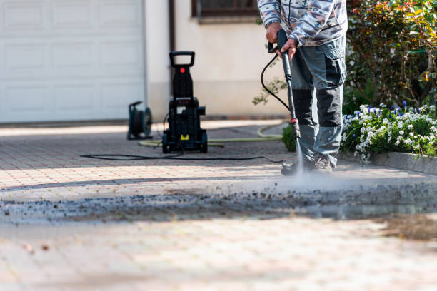Best House Pressure Washing  in Trenton, FL